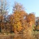 herbstliche Gre