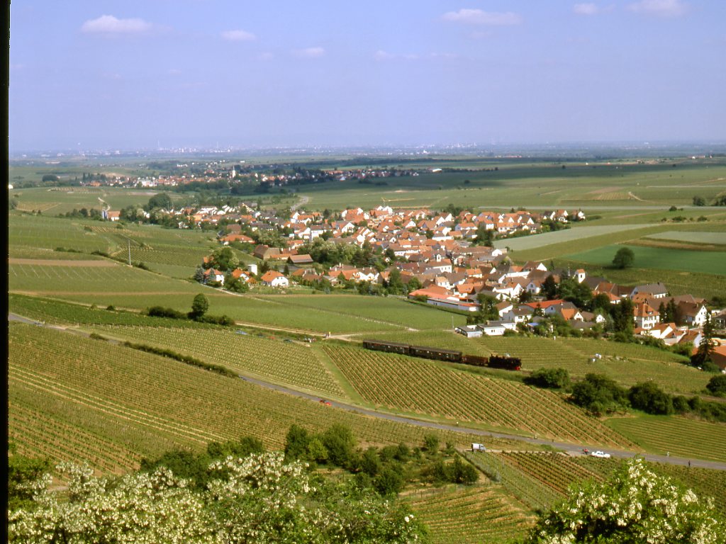 94 1292 bei Sausenheim/Pfalz