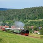 94 1538 auf der Rückfahrt von Sonneberg, passiert den ehemaligen Hp Grümpen