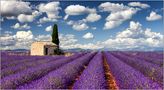 ALPES DE HAUTE PROVENCE