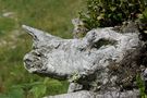 Begegnung am Wanderweg von  Willy Vogelsang