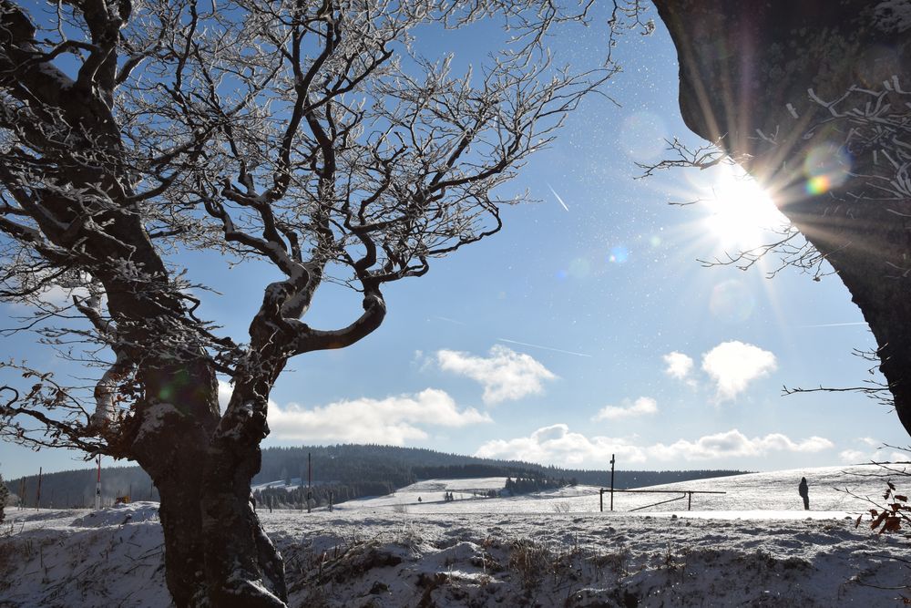 Winterwunderland von Johannes Schleyer