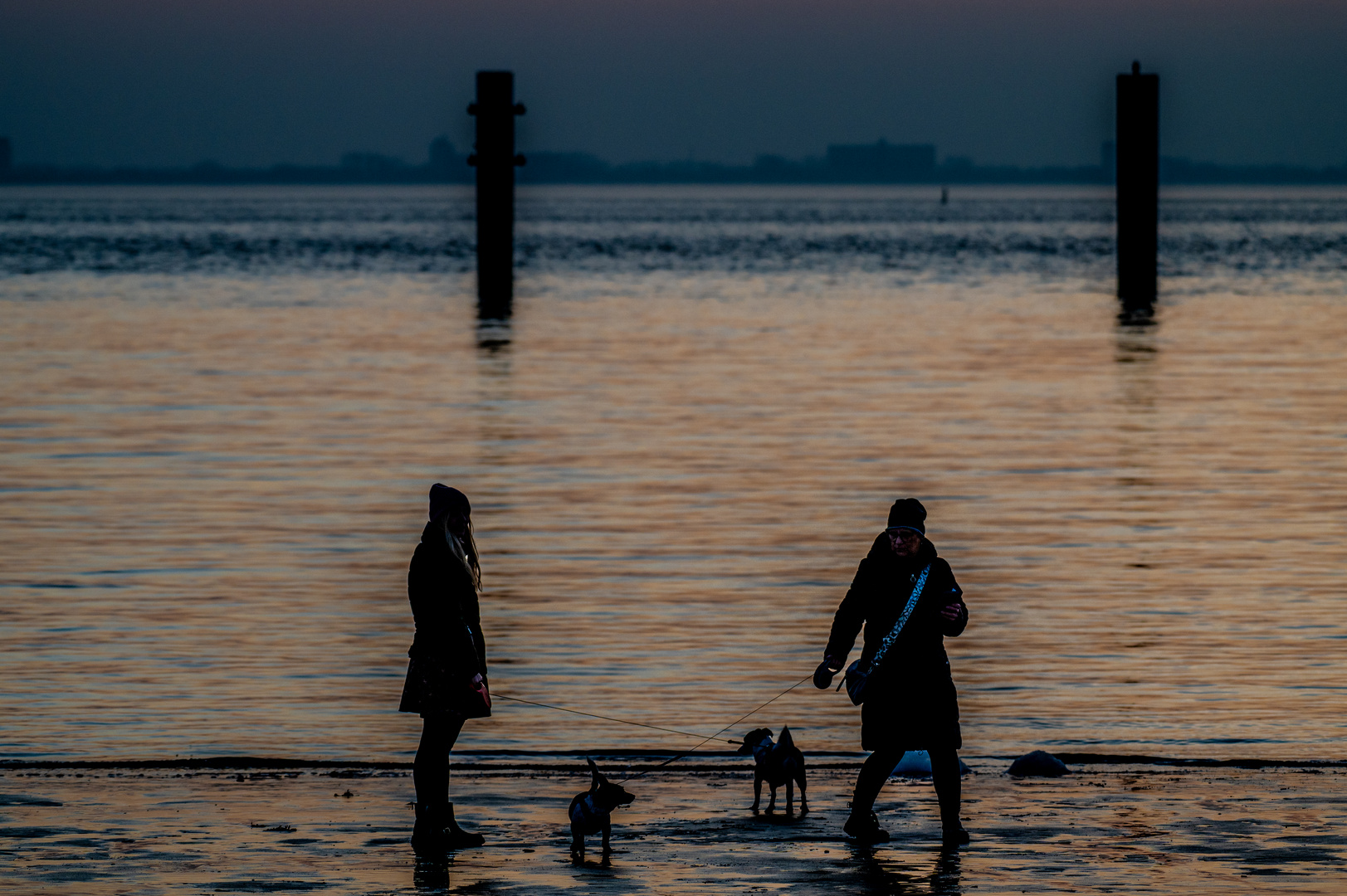 94/365 Am Meer