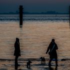 94/365 Am Meer