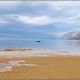 Lopar Strand Impression auf der Insel Rab;  Kroatien Camperreise Mai 2022