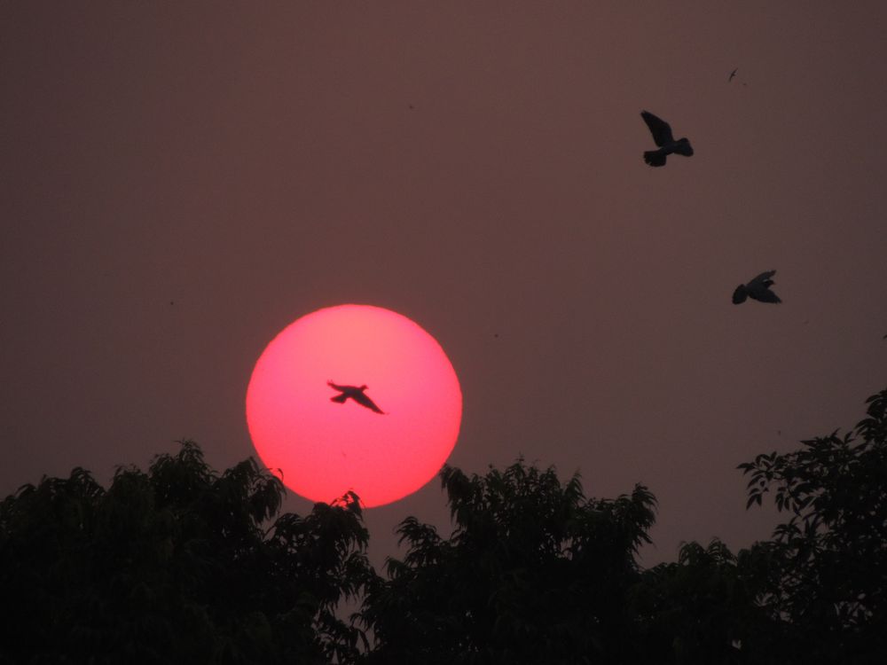 Delhi_Sunset von Judith Kappes 