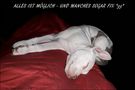 Anatomisch möglich? *lol* by redfox-dream-art-photography