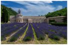 Kloster Senanque in der Provence by Anja Leithner