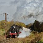 95 027 am 29.10.2017 in Hüttenrode