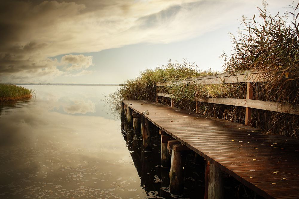 Am Bodden (Darß) von Phil Photographie