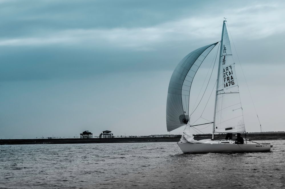 l'île aux oiseau. (bassin d'Arcachon) de jmguy 