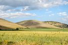 colline by Angelo Facchini