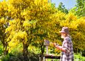  tant de fleurs jaunes de Adele D. Oliver