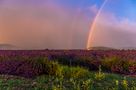 Regenbogen by fotoworxs 