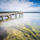 Umgestrzte Bume am Rande eines Sees mit Spiegelung der schnen Wolken im Wasser