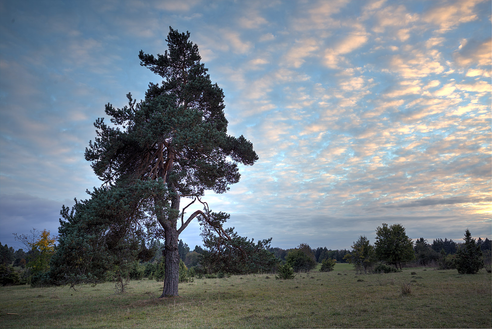 9595_6_7_8_9_heide_mahlstetten_Balanced