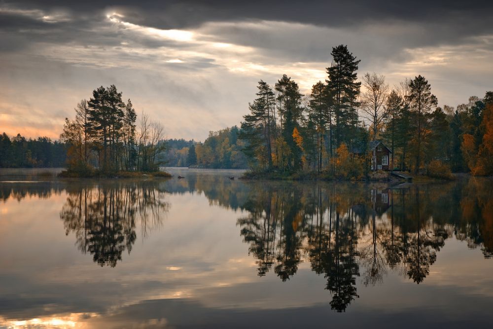 Oktober von Thomas Oser