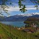 Spiez im Frhling