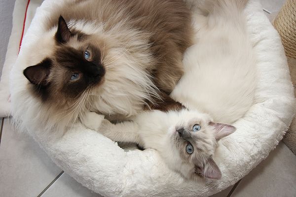 9.600 Gramm pures Glück