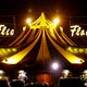 Circus Flic Flac - Hchststrafe - 25 Jahre