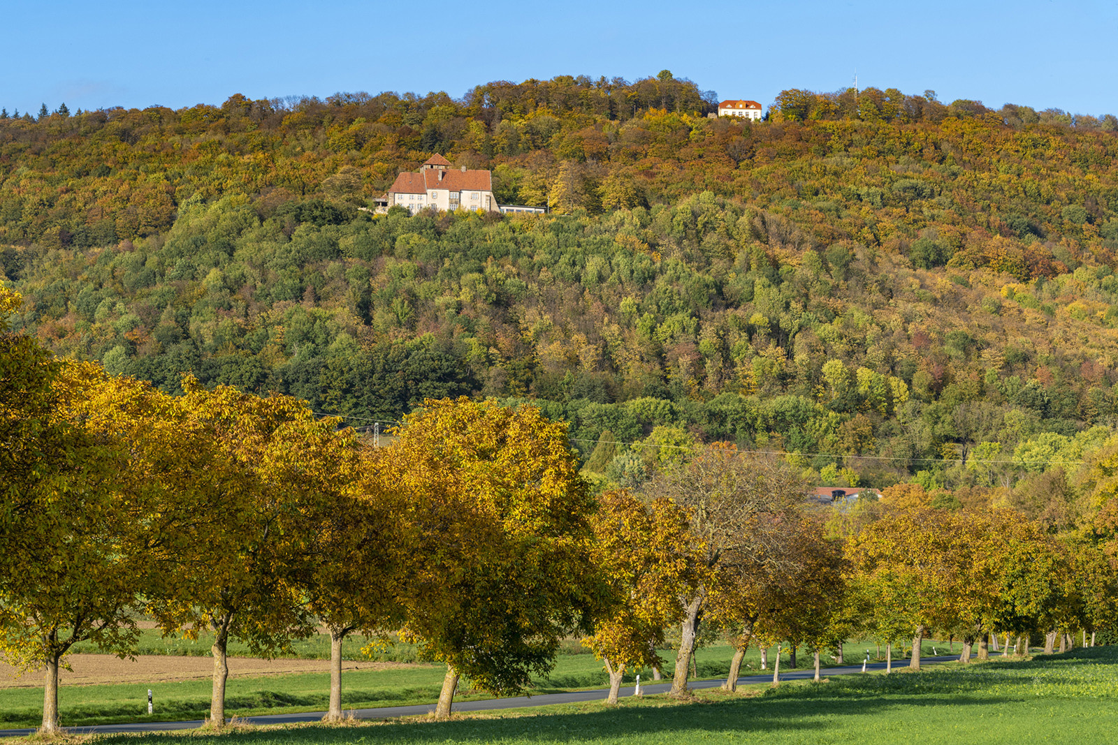 9623S Blick zur Schaumburg und Paschenburg Herbst