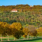 9623S Blick zur Schaumburg und Paschenburg Herbst