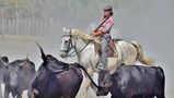 Camargue... de gageou Jean- claude gage