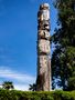 Albero totem di Roberto 1950