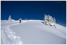 Winterfreuden von Gerhard.Winkler