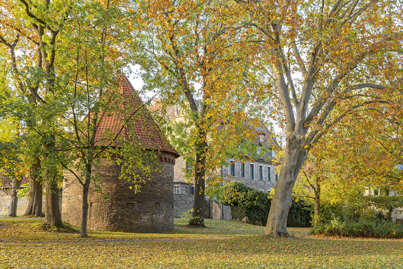 9738S Halbturm und Landsbergscher Hof Schlosspark Stadthagen Herbst