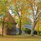 9738S Halbturm und Landsbergscher Hof Schlosspark Stadthagen Herbst