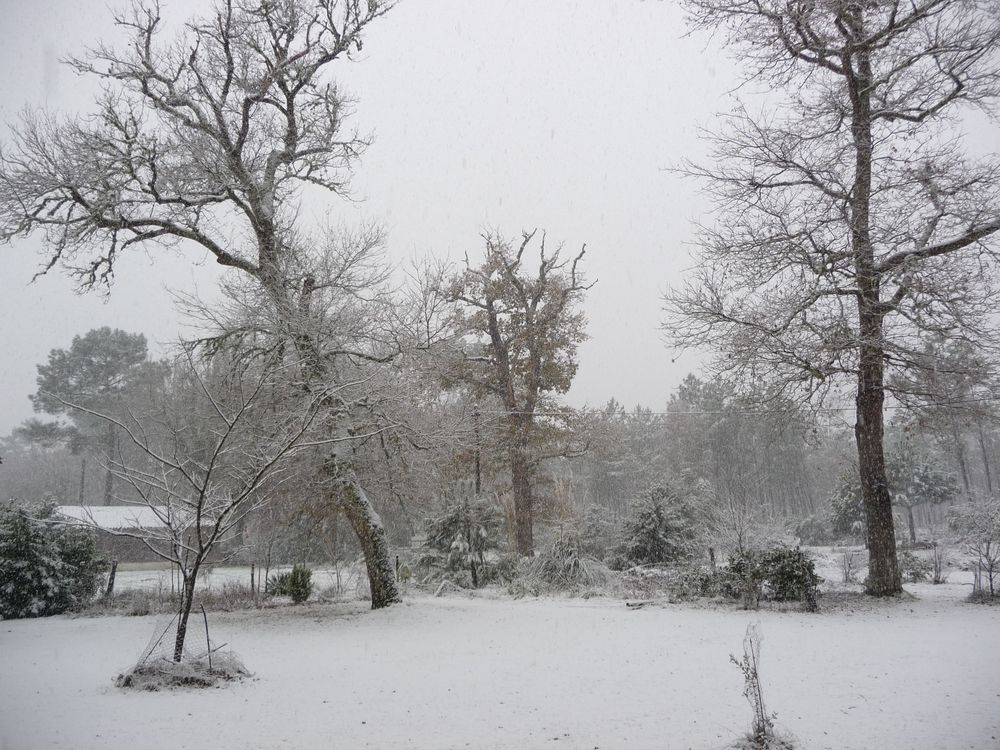 neige dans les Landes de S Gilbert