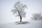 Winter im Mansfelder Land von Richard Bartlitz