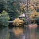 Waldsee - Freiburg im Breisgau