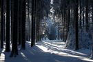 Winterwald VI von Martina Sch.