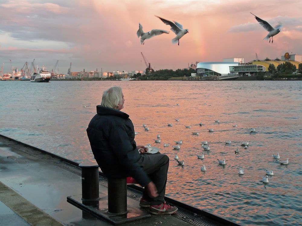 Begegnung einer besonderen Art - Hamburg von Ida-Lena 