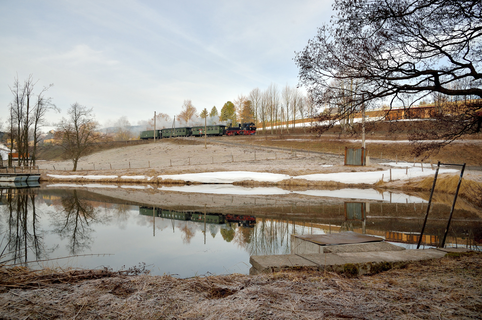 99 1608-1 am 22.03.19 am Teich bei Unterwiesenthal