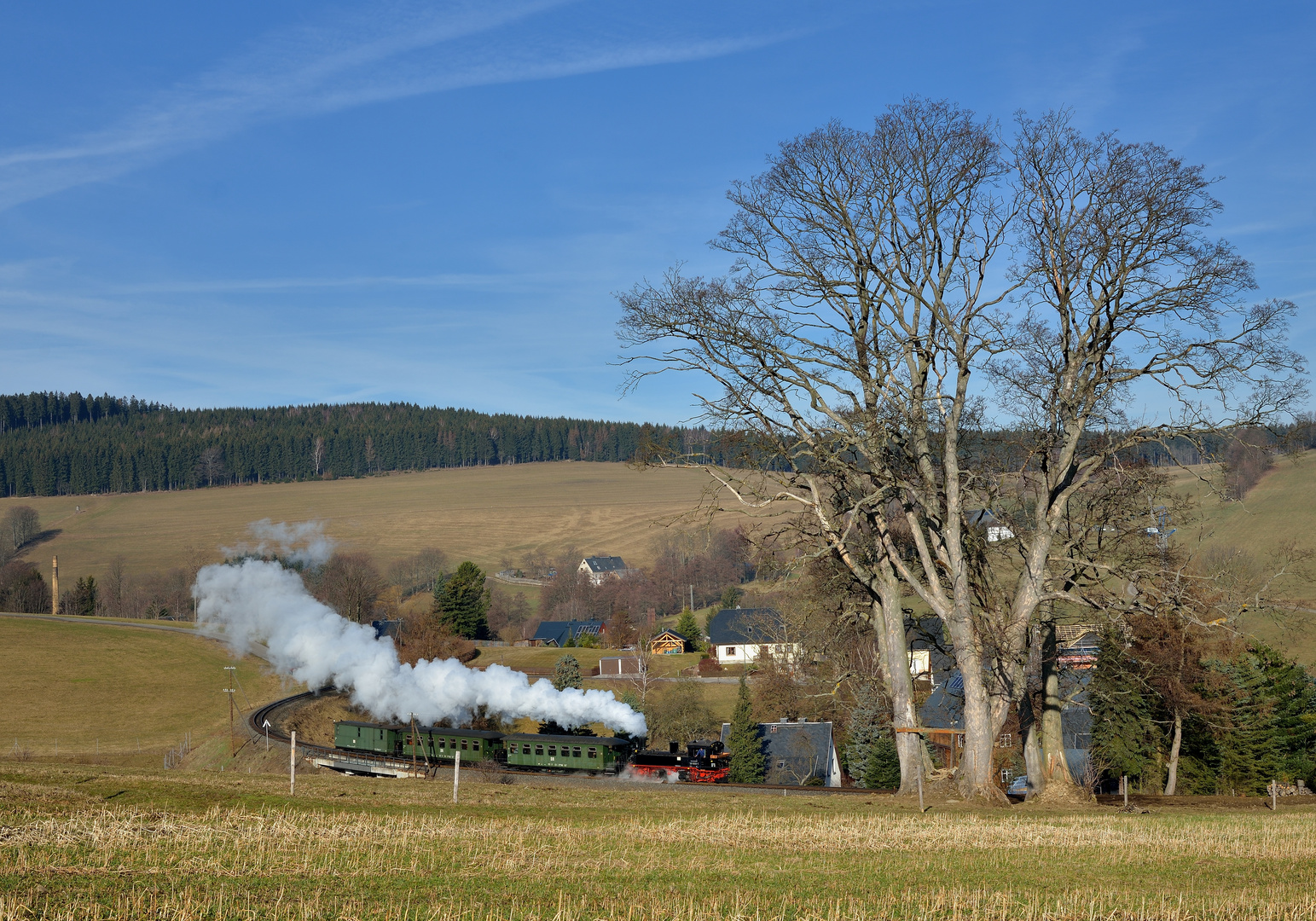 99 1608-1 am 22.03.19 am Teichweg in Cranzahl