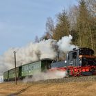 99 1608-1 am 22.03.19 bei der Halde vor Niederschlag