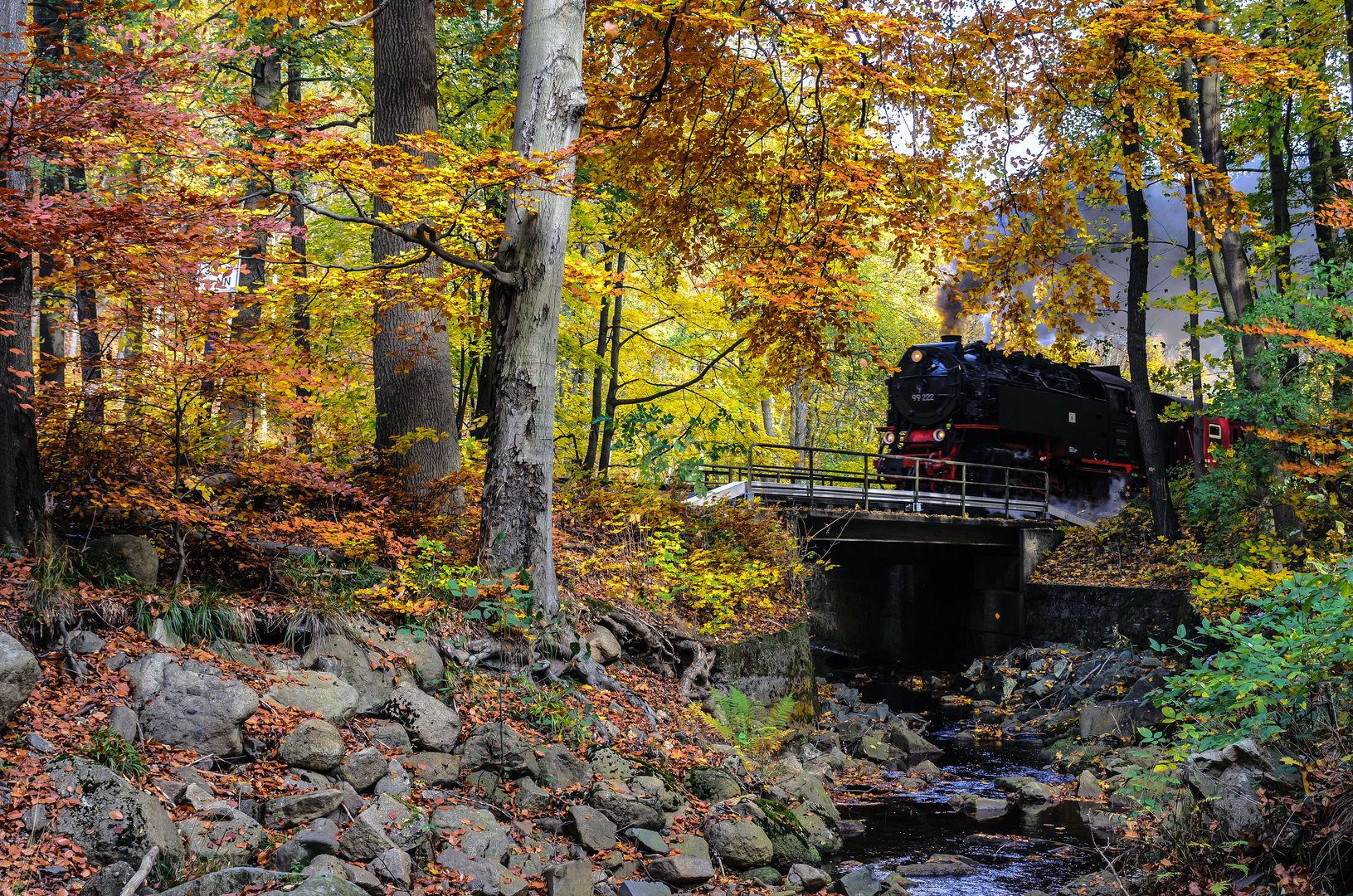 99 222 "donnert" durch den Herbstwald