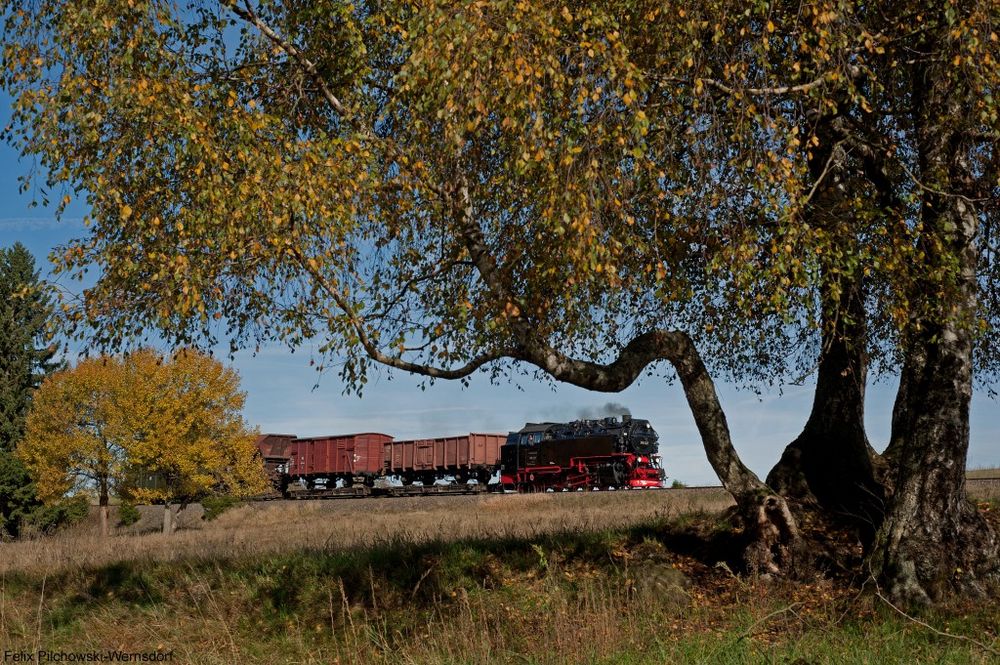 99 222 und die Benneckensteiner Birke