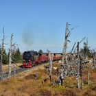 99 234 am 13.10.18 auf dem Brocken