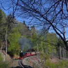 99 234 am 21.04.19 in der Nähe des Betriebsbahnhofs Drängetal