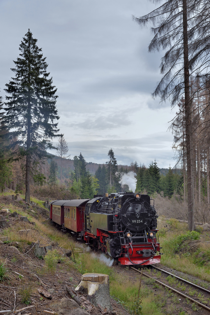  99 234 auf dem Weg zum Brocken vor Schierke