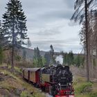  99 234 auf dem Weg zum Brocken vor Schierke