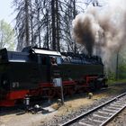 99 234 der Harzer Schmalspurbahnen 