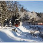 99 236 (07.02.2015) #Vorschau