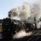 99 236 der Harzer Schmalspurbahnen verlässt mit einem Rollbock-Güterzug den Bahnhof Wernigerode