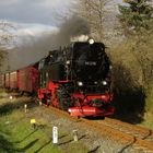 99 236 in Nordhausen Altentor.