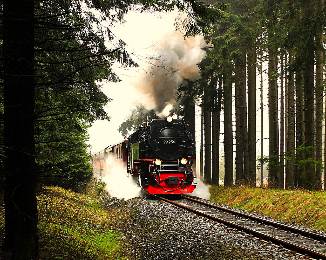 99 236 mit Volldampf richtung Schierke